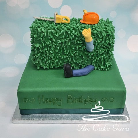 Falling Through A Hedge Birthday Cake