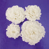 FMM Easiest Carnation Ever