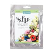 Squires Sugar Florist Paste (SFP) - Pale Green - 200g